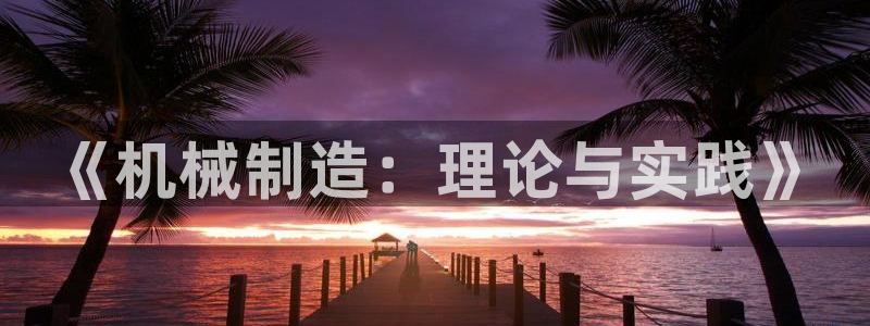 彩神ix官网：《机械制造：理论与实践》