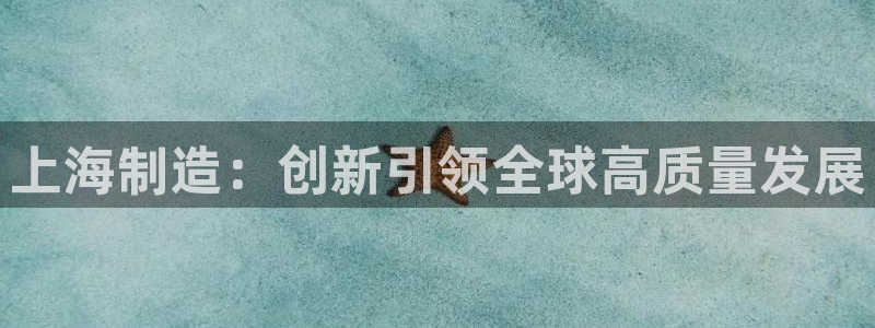 彩神ll能赚钱吗：上海制造：创新引领全球高质量发展