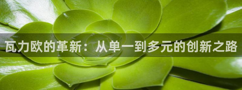 彩神iv真的能赚钱吗：瓦力欧的革新：从单一到多元的创新之路