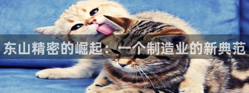 彩神ix是真的吗：东山精密的崛起：一个制造业的新典范