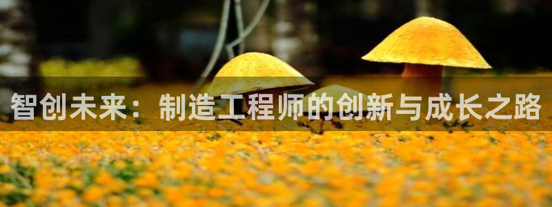 彩神vⅲ下载安装：智创未来：制造工程师的创新与成长之路