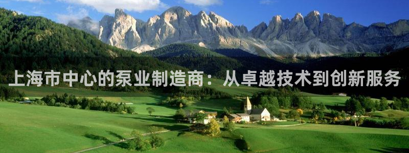 彩神ix能赚钱吗：上海市中心的泵业制造商：从卓越技术到创新服务