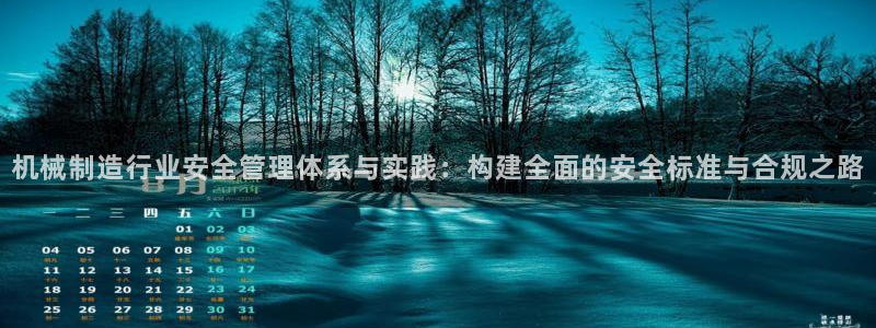 彩神v8app：机械制造行业安全管理体系与实践：构建全面的安全标准与合规之路