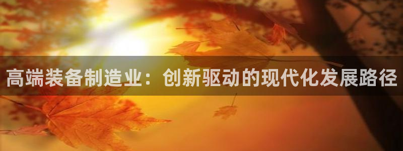 彩神购彩-购彩大厅入口老版：高端装备制造业：创新驱动的现代化发展路径
