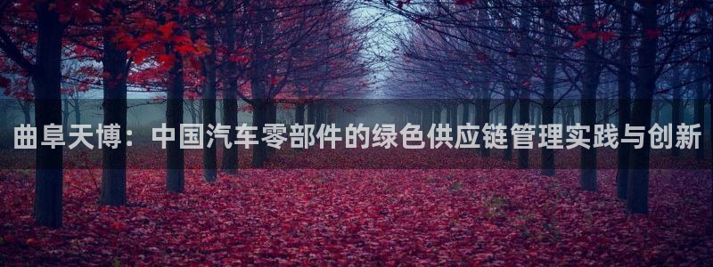 彩神app能挣到钱吗：曲阜天博：中国汽车零部件的绿色供应链管理实践与创新