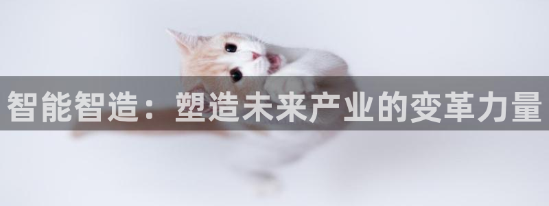 彩神v彩搜狗：智能智造：塑造未来产业的变革力量