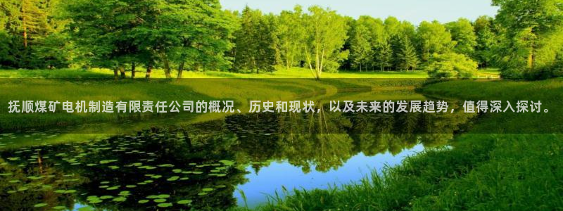 彩神VI首页：抚顺煤矿电机制造有限责任公司的概况、历史和现状，以及未来的发展趋势，值得深入探讨。