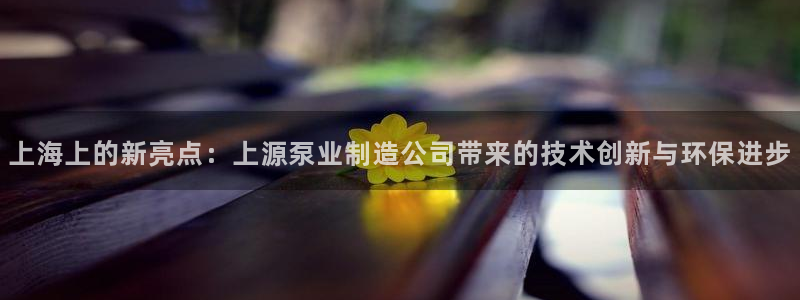彩神ⅴll用户登录：上海上的新亮点：上源泵业制造公司带来的技术创新与环保进步