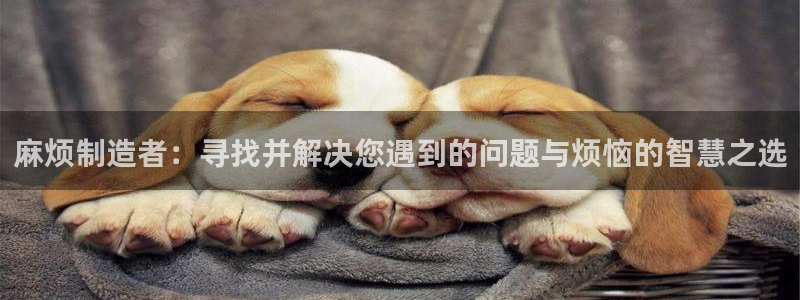 彩神v8平台正规吗：麻烦制造者：寻找并解决您遇到的问题与烦恼的智慧之选