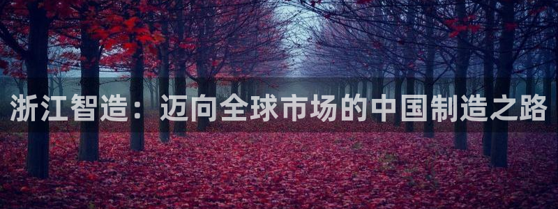 彩神v8下载app：浙江智造：迈向全球市场的中国制造之路