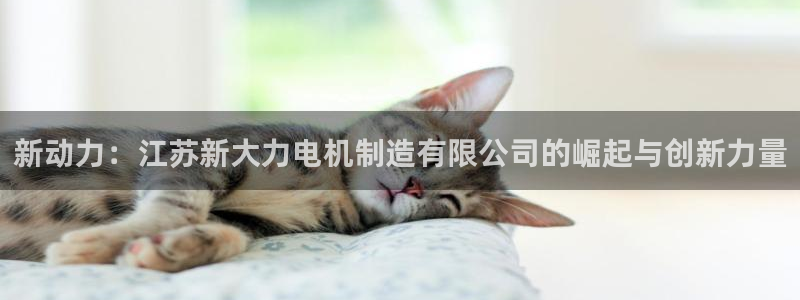 彩神8app官方下载：新动力：江苏新大力电机制造有限公司的崛起与创新力量