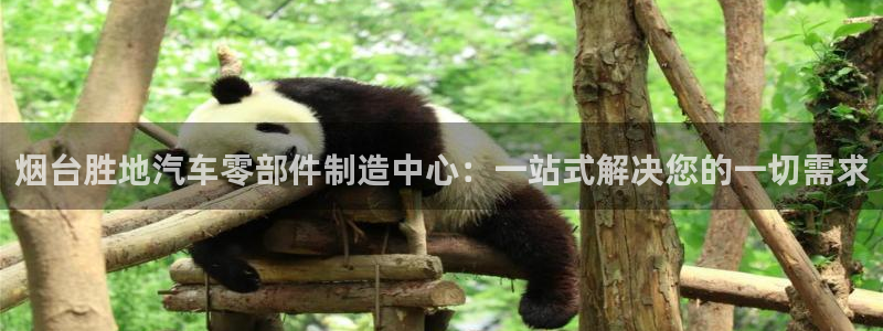 新版彩神v8登录教程：烟台胜地汽车零部件制造中心：一站式解决您的一切需求