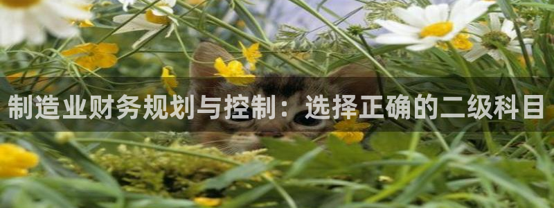 彩神v8平台正规吗安全吗：制造业财务规划与控制：选择正确的二