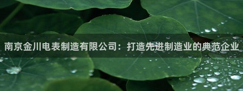 彩神新微聊：南京金川电表制造有限公司：打造先进制造业的典范企业