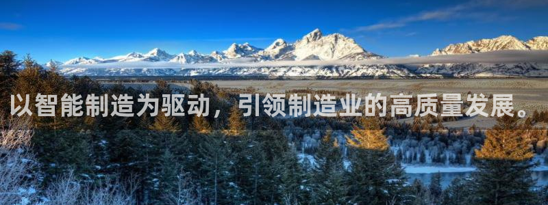 彩神vii官网大赢家：以智能制造为驱动，引领制造业的高质量发展。