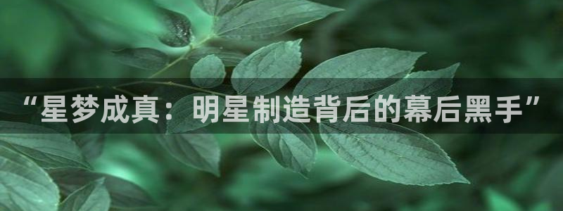 彩神旗下有哪些平台：“星梦成真：明星制造背后的幕后黑手”