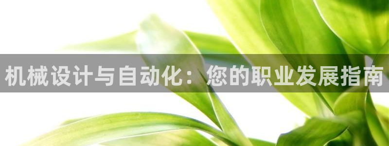 彩神大发三期计划网站：机械设计与自动化：您的职业发展指南