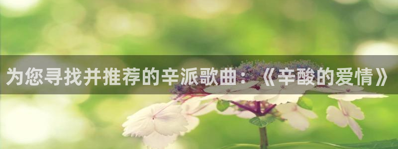 大发彩神争：为您寻找并推荐的辛派歌曲：《辛酸的爱情》