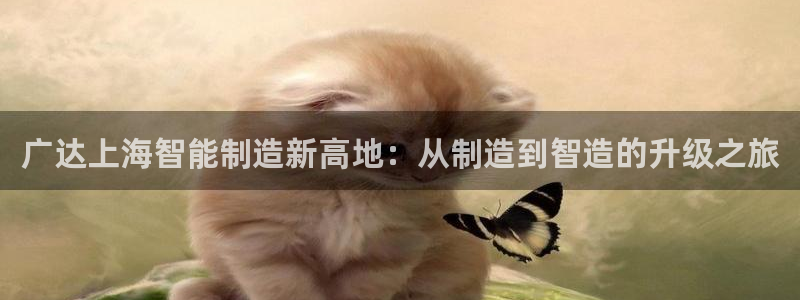彩神v8是一个什么平台啊：广达上海智能制造新高地：从制造到智造的升级之旅