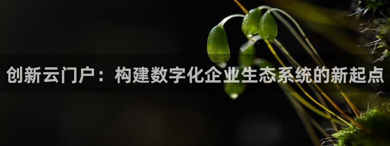 所有彩神购买首页中心：创新云门户：构建数字化企业生态系统的新起点