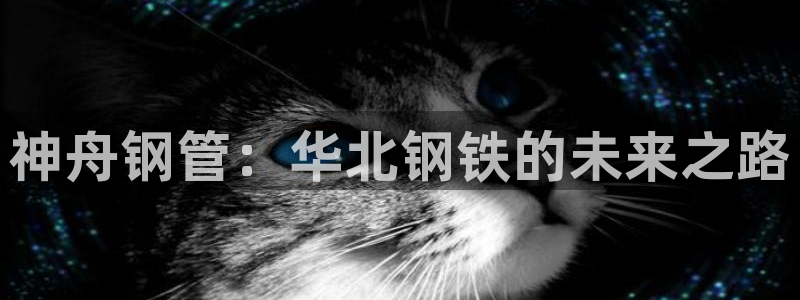 彩神vip购彩大厅下载：神舟钢管：华北钢铁的未来之路