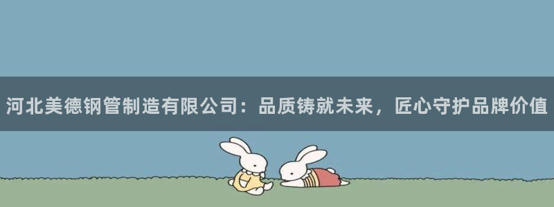 彩神通官网下载：河北美德钢管制造有限公司：品质铸就未来，匠心守护品牌价值