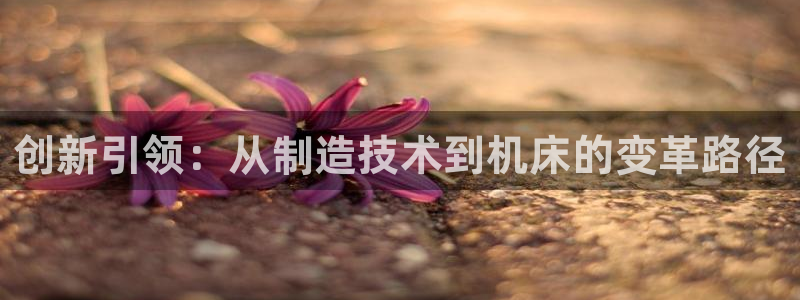 彩神网能赚钱是怎么回事：创新引领：从制造技术到机床的变革路径