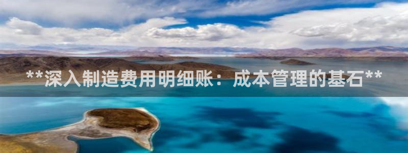 彩神vll首页企业文化：**深入制造费用明细账：成本管理的基石**
