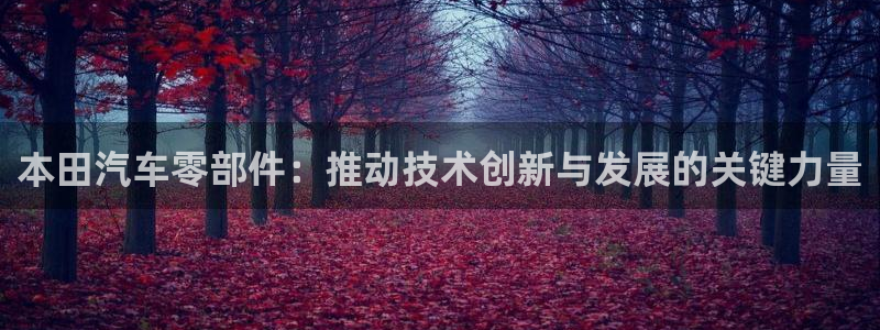 彩神争霸官网登录平台：本田汽车零部件：推动技术创新与发展的关键力量