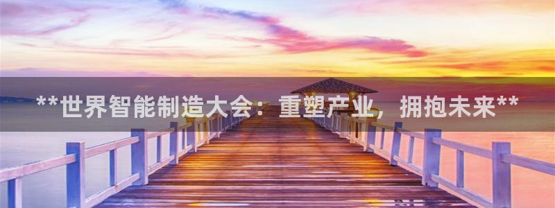 彩神vii手游下载：**世界智能制造大会：重塑产业，拥抱未来**