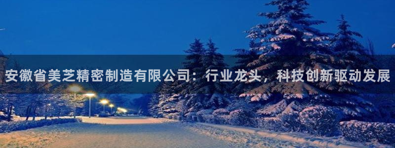 彩神VII官方版