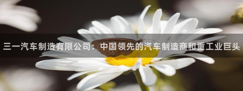 彩神是怎样一个平台赚钱的：三一汽车制造有限公司：中国领先的汽车制造商和重工业巨头
