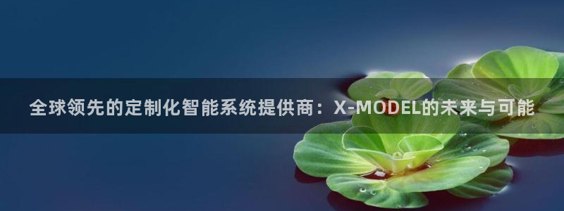 彩神vll购彩大厅：全球领先的定制化智能系统提供商：X-MODEL的未来与可能