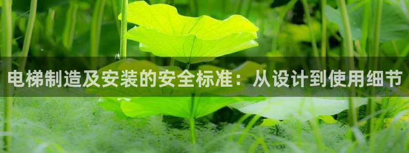 彩神iv是正规平台吗?：电梯制造及安装的安全标准：从设计到使