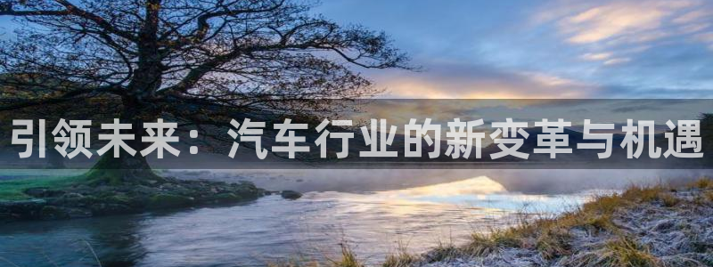 彩神购彩-购彩大厅入口娱乐首选：引领未来：汽车行业的新变革与机遇