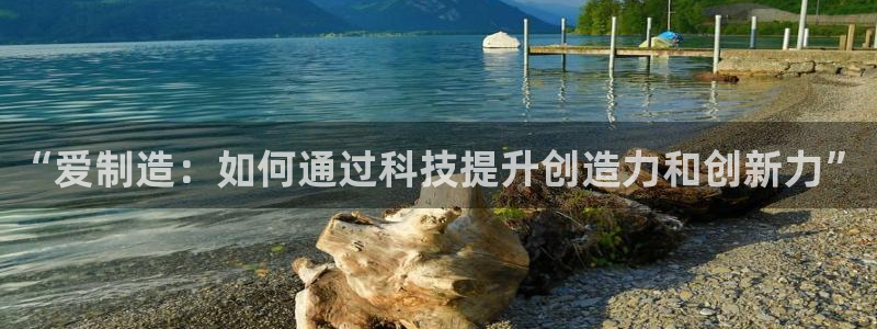 彩神网可以赚钱是真的吗：“爱制造：如何通过科技提升创造力和创
