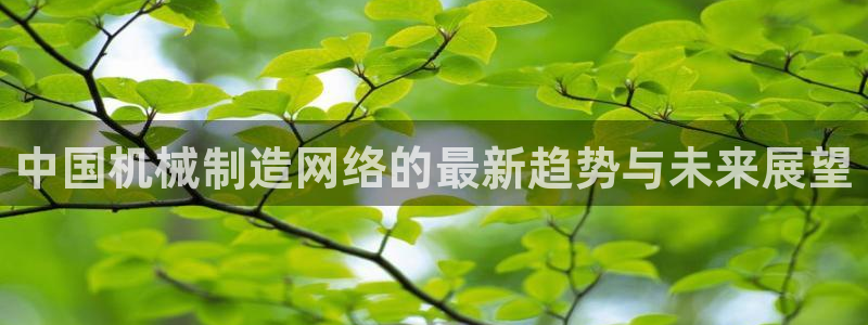 彩神vllⅰ购彩大厅：中国机械制造网络的最新趋势与未来展望