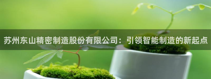 彩神官方网站登录是多少：苏州东山精密制造股份有限公司：引领智能制造的新起点