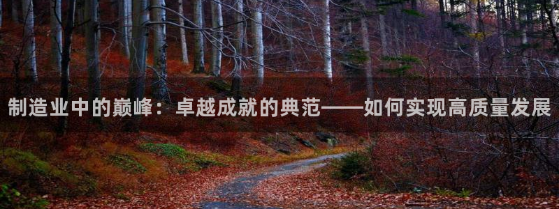 彩神iv争霸购彩大厅：制造业中的巅峰：卓越成就的典范——如何实现高质量发展