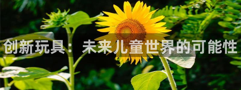 彩神系列平台：创新玩具：未来儿童世界的可能性