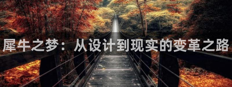 彩神网可以赚钱是真的吗：犀牛之梦：从设计到现实的变革之路