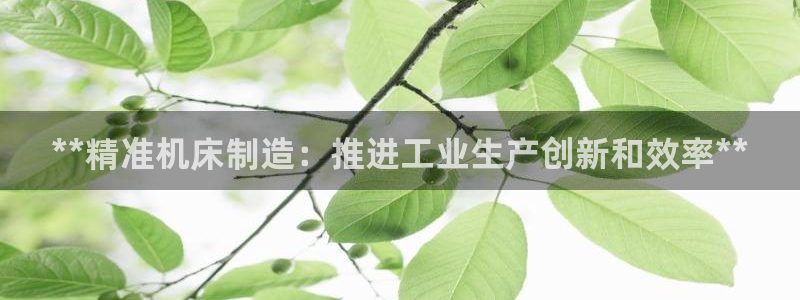 彩神到底能不能赚钱：**精准机床制造：推进工业生产创新和效率**
