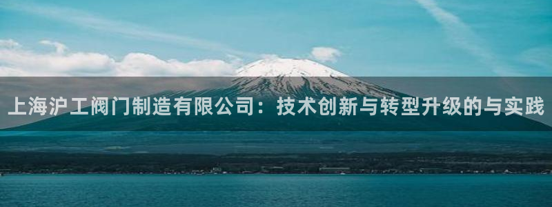 彩神v破解版：上海沪工阀门制造有限公司：技术创新与转型升级的与实践