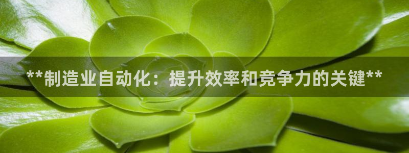 彩神官方登录：**制造业自动化：提升效率和竞争力的关键**