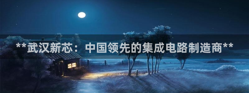 彩神8软件下载：**武汉新芯：中国领先的集成电路制造商**