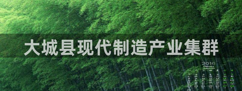彩神ix是真的吗：大城县现代制造产业集群