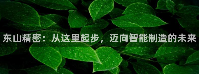 彩神新微聊：东山精密：从这里起步，迈向智能制造的未来
