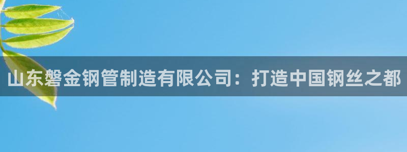 彩神大发云：山东磐金钢管制造有限公司：打造中国钢丝之都