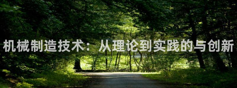 彩神网能赚钱是怎么回事：机械制造技术：从理论到实践的与创新