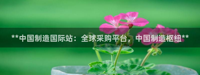 天天彩神welcome：**中国制造国际站：全球采购平台，中国制造枢纽**